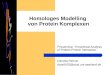 Homologes Modelling von Protein Komplexen Proseminar: Theoretical Analysis of Protein-Protein Interaction Daniela Reimer dare5003@stud.uni-saarland.de