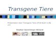 Transgene Tiere Präsentation über Transgene Tiere (PCB Buch S.35) von Stephan Daxenberger-Wieland