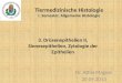 Tiermedizinische Histologie I. Semester, Allgemeine Histologie Dr. Attila Magyar 20.09.2013 3. Drüsenepithelien II, Sinnesepithelien, Zytologie der Epithelien