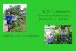 EDV-Unterricht Gemeinschaftsarbeit, Klasse 5c / Gruppe 1 Thema: Der Schulgarten