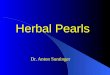 Herbal Pearls Dr. Anton Suntinger. Engelwurz – Angelica archangelica