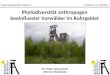 Phytodiversität anthropogen beeinflusster Vorwälder im Ruhrgebiet Bochumer Botanischer Verein e.V. Frankfurt a. M., 19.10.2013 Dr. Peter Gausmann (Herne