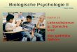 Kapitel 16 Lateralisierung, Sprache und das geteilte Gehirn Biologische Psychologie II Peter Walla