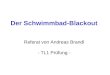 Der Schwimmbad-Blackout Referat von Andreas Brandl - TL1 Prüfung -