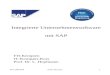 WS 2003/04SAP-Theorie1 Integrierte Unternehmenssoftware mit SAP FH-Kempten IT-Kompakt-Kurs Prof. Dr. L. Hopfmann
