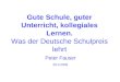 Gute Schule, guter Unterricht, kollegiales Lernen. Was der Deutsche Schulpreis lehrt Peter Fauser 26.3.2009