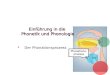 Phonations- prozess Einführung in die Phonetik und Phonologie Der Phonationsprozess