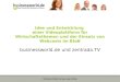 Schimmel Media Verlag, Ingo Schloo Idee und Entwicklung einer Videoplattform für Wirtschaftsthemen und der Einsatz von Webcasts im BtoB businessworld.de
