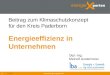 Beitrag zum Klimaschutzkonzept für den Kreis Paderborn Energieeffizienz in Unternehmen  1 Dipl.-Ing. Meinolf Austermeier V-002