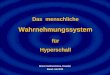 Das menschliche Wahrnehmungssystem für Hyperschall Reiner Gebbensleben, Dresden Stand: Juli 2013