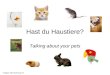 Hast du Haustiere? Talking about your pets Images: Microsoft Clip Art