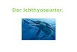 Der Ichthyosaurier. Die Entwicklung Der Ichthyosaurier kommt aus dem Griechischen und heißt im Deutschen Fischechse Er lebte im Wasser und seine Vorfahren