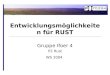 Gruppe Ifoer 4 P2 Rust WS 2004 Entwicklungsmöglichkeiten für RUST