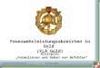 Niederösterreichischer Landesfeuerwehrverband Bezirksfeuerwehrkommando Zwettl FLA Gold 2011 1 Disziplin: Formulieren und Geben von Befehlen Feuerwehrleistungsabzeichen
