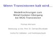 Wenn Transistoren kalt wird… Modellrechnungen zum Metall-Isolator-Übergang bei MOS-Transistoren Thomas Hörmann Betreuung: a.Univ.-Prof. Dr. Gerhard Brunthaler