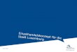 Einzelhandelskonzept für die Stadt Luxemburg City Management