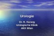 Urologie Dr. R. Herwig Urologische Klinik AKH Wien