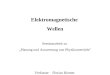 Elektromagnetische Wellen Seminararbeit zu Planung und Auswertung von Physikunterricht Verfasser: Florian Riemer Deckblatt