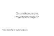 Grundkonzepte Psychotherapien Von Steffen Schnieders