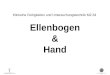 Klinische Fertigkeiten und Untersuchungstechnik M2.34 Ellenbogen & Hand