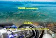 Http://ert.cern.ch F. Haug Willkommen CERN die Europäische Organisation für Kernforschung
