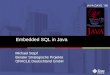 Embedded SQL in Java Michael Stapf Berater Strategische Projekte ORACLE Deutschland GmbH JAVA DAYS ´98