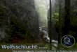 Wolfsschlucht 3.5.2014 Eine geheimnisvolle, mystische Schlucht im Solothurner Jura