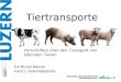 Tiertransporte 1 Vorschriften über den Transport von lebenden Tieren Fw Bruno Maurer Fach L Veterinärpolizei