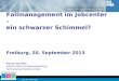Prof. Dr. Claus Reis Fallmanagement im Jobcenter – ein schwarzer Schimmel? Freiburg, 20. September 2013 Prof. Dr. Claus Reis Institut für Stadt- und Regionalentwicklung