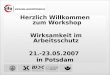 Herzlich Willkommen zum Workshop Wirksamkeit im Arbeitsschutz 21.-23.05.2007 in Potsdam