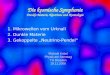 Die kosmische Symphonie Dunkle Materie, Neutrinos und Kosmologie 1.Mikrowellen vom Urknall 2.Dunkle Materie 3.Gekoppelte „Neutrino-Pendel“ Michael Kobel
