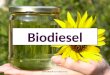 1 Biokraftstoff von Tobias Frost. 1.Fossile Erdöl vorkommen „Vom Rapsöl zum Biotreibstoff“ 2.Experiment „Vom Rapsöl zum Biotreibstoff“ 3.Vergleich: Diesel