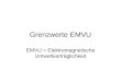 Grenzwerte EMVU EMVU = Elektromagnetische Umweltverträglichkeit