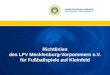 Richtlinien des LFV Mecklenburg-Vorpommern e.V. für Fußballspiele auf Kleinfeld