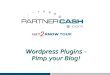 Wordpress Plugins - Pimp your Blog!. Basic Plugins User-Tracking -> CyStats Spam-Vermeidung/Minimierung -> Akismet Sitemap-Generierung – Dagon Design