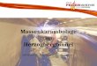 Massenkarambolage im Herzogbergtunnel HBI Robert Wagnest / OLM DI (FH) Martin Huber