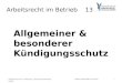 Arbeitsrecht im Betrieb 13 Allgemeiner & besonderer Kündigungsschutz  Arbeitsrecht im Betrieb, Sommersemester 2014 1