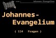 Johannes-Evangelium ( 114 Fragen ) ( B+R-S 15/04 ) Johannes-Evangelium ( B+R-S 15/04 ) Johannes-Evangelium