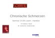 Chronische Schmerzen Seminar 2.6.06 Luzern - Handout Ch.Kätterer, Basel M. Handschin, Gelterkinden