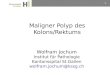 1 Wolfram Jochum Institut für Pathologie Kantonsspital St.Gallen wolfram.jochum@kssg.ch Maligner Polyp des Kolons/Rektums