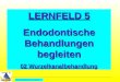 All Copyrights by P.-A. Oster ® LERNFELD 5 Endodontische Behandlungen begleiten 02 Wurzelkanalbehandlung