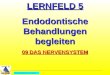 All Copyrights by P.-A. Oster ® LERNFELD 5 Endodontische Behandlungen begleiten 09 DAS NERVENSYSTEM