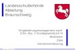 Landesschulbehörde Abteilung Braunschweig Eingliederungsmanagement nach § 84, Abs. 2 Sozialgesetzbuch IX Motivation Ziele Dienstvereinbarung Reinke, 28.03.2006
