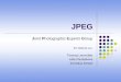 JPEG Joint Photographic Experts Group Ein Referat von: Thomas Leinmüller Julia Khudyakova Kornelius Scheel