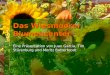 Eine Präsentation von Juan Garcia, Tim Stürenburg und Moritz Botterbrodt Das Wiesmoorer Blumencenter