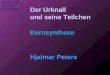 Hauptseminar SS 2005 „Der Urknall und seine Teilchen“ Kernsynthese Der Urknall und seine Teilchen Kernsynthese Hjalmar Peters