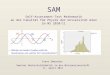 SAM Self-Assessment-Test Mathematik an der Fakultät für Physik der Universität Wien im WS 2010/11 Franz Embacher Seminar Hochschuldidaktik in der Naturwissenschaft
