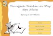 Inhaltliche Aufbereitung: Brigitte Schwarzlmüller Quiz für Einsteiger Quiz für Profis Buchinfo Rettung in der Wildnis Das magische Baumhaus von Mary Pope