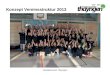 Handballverein Thayngen Konzept Vereinsstruktur 2013
