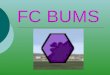 FC BUMS Entstehung Dieser Verein ist durch den Komentatorenspruch "Oh, ´s war schon ´n ordentlicher Bums" entstanden. Dieser Spruch kommt bei dem Videospiel